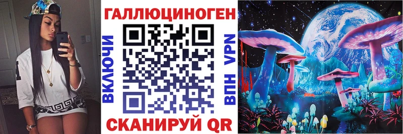 Псилоцибиновые грибы мухоморы  KRAKEN маркетплейс  Владимир  закладки 