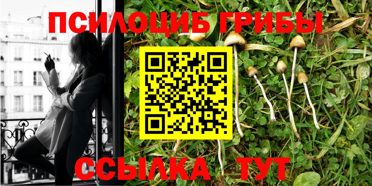 Галлюциногенные грибы Psilocybine cubensis Владимир