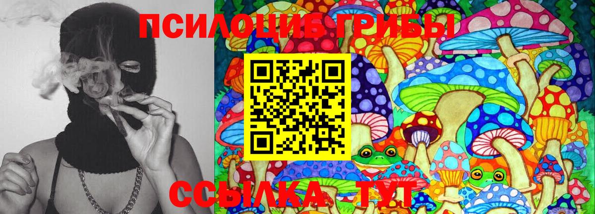 Псилоцибиновые грибы MAGIC MUSHROOMS  Вход с VPN  Владимир  Псилоцибиновые грибы прущие грибы 