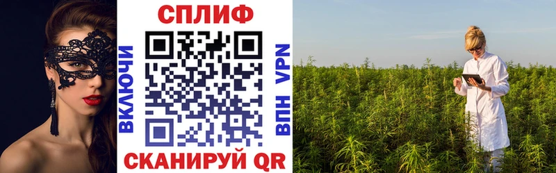 блэк спрут tor Владимир Марихуана SATIVA & INDICA